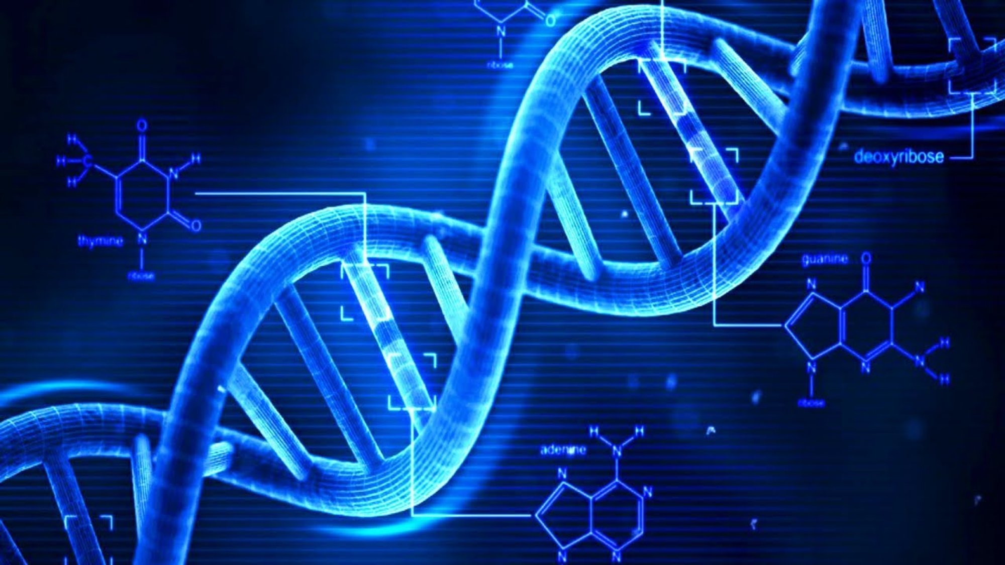 امکان خالص‌سازی DNA برای مطالعات توالی‌یابی و تشخیص بیماری‌ها در کشور فراهم شد