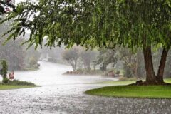 بارش باران بهاری در اغلب نقاط کشور