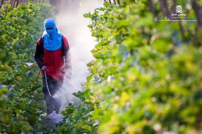 شستشو به تنهایی برای از بین بردن آفت‌کش‌ها کافی نیست