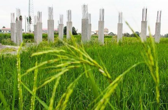 تغییر کاربری زمینهای کشاورزی تغییر کاربری زمینهای کشاورزی