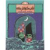 شبی که ماه گرفت