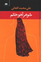 نقدی بر کتاب شوهر آهو خانم